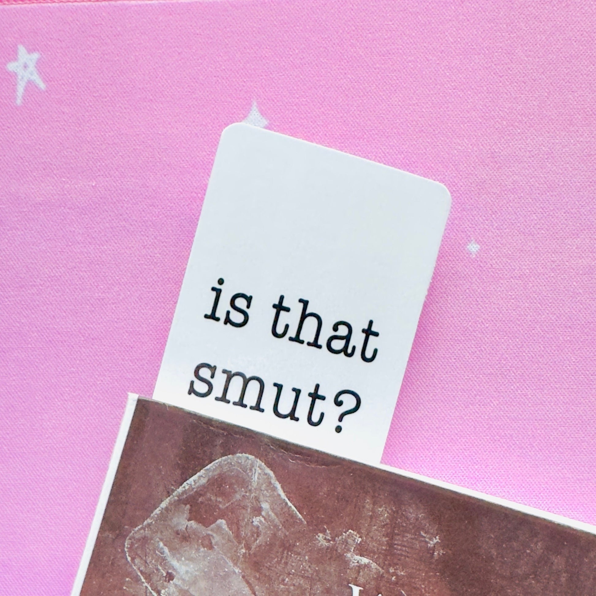 Funny Jesus Bookmark: "Is That Smut?" Book Lover Gift