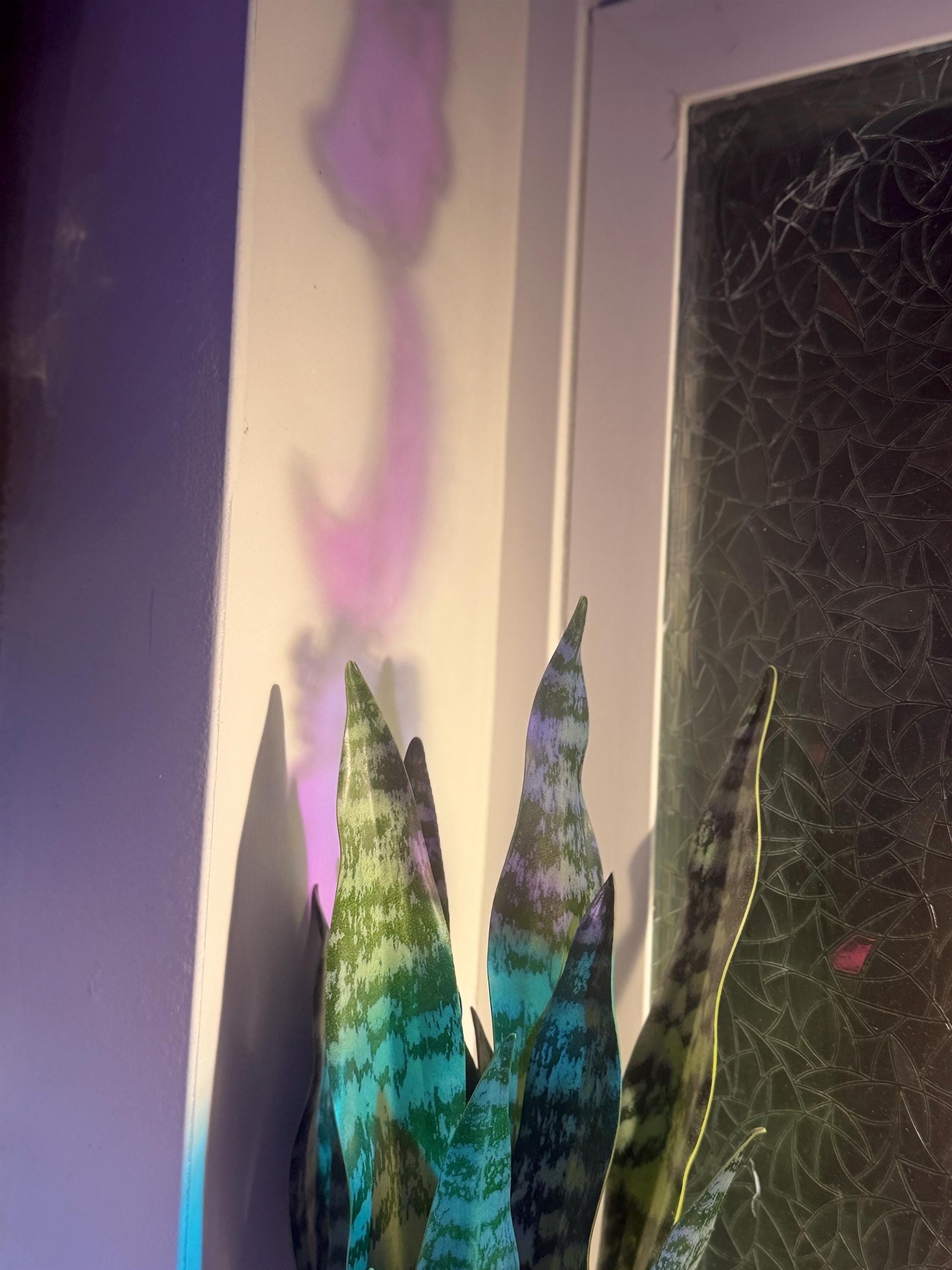 Book Dragon Iridescent Sun Catcher, Fantasy Window Prism Decor, Dark Academia Reading Nook Hanging